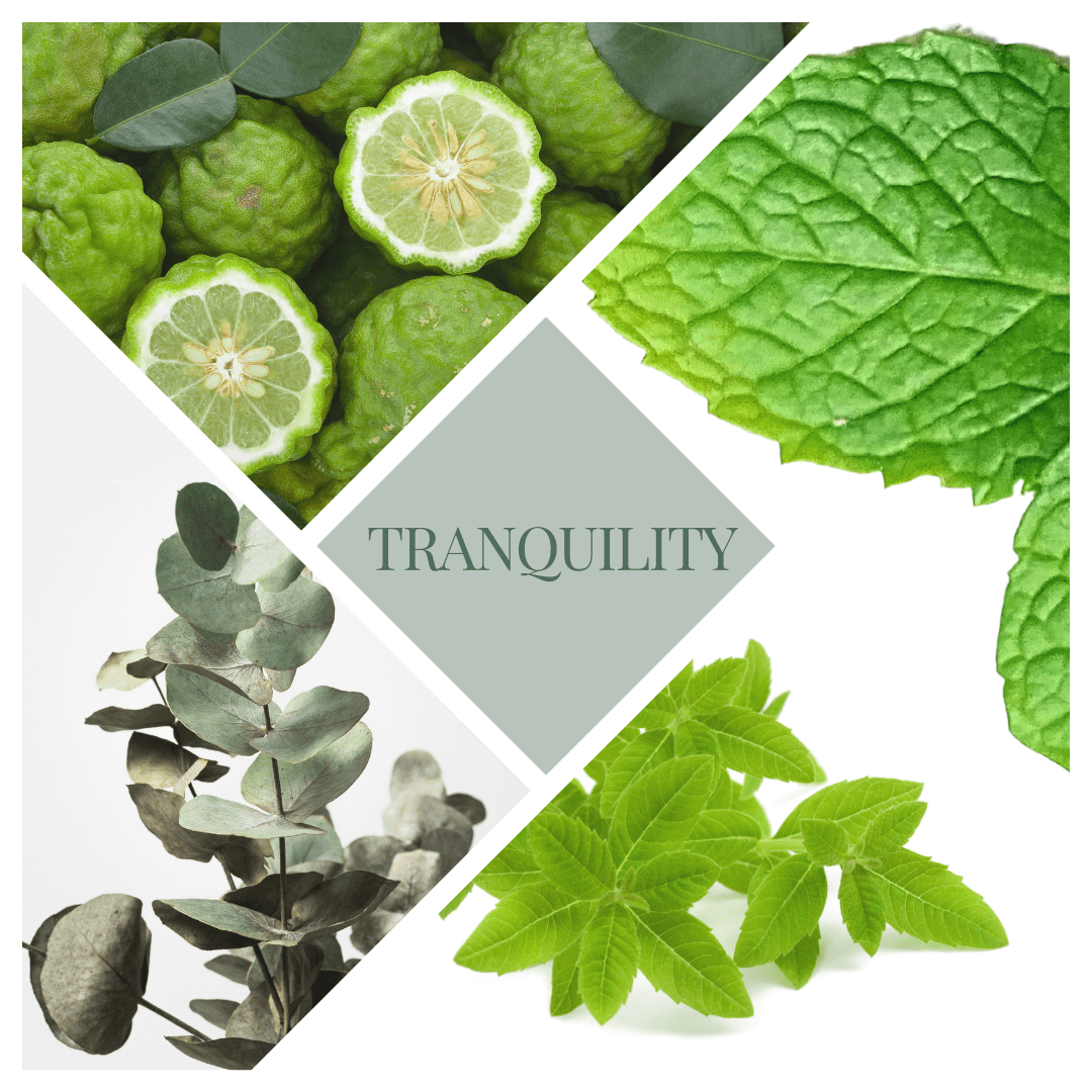 Tranquility Shampoo Bar - Variegated Roots