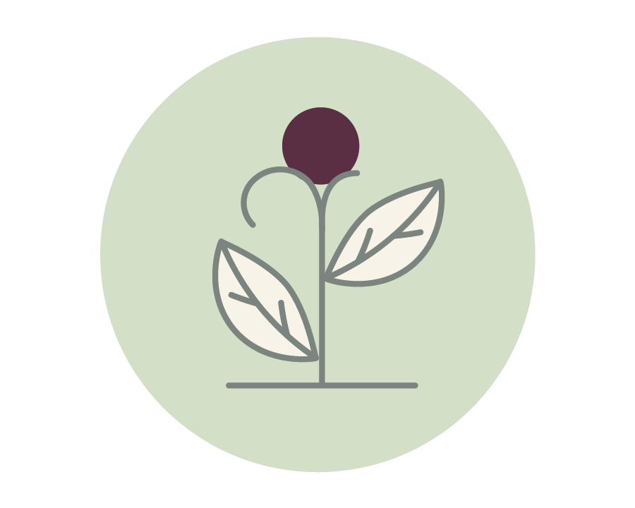 Organic leaves icon