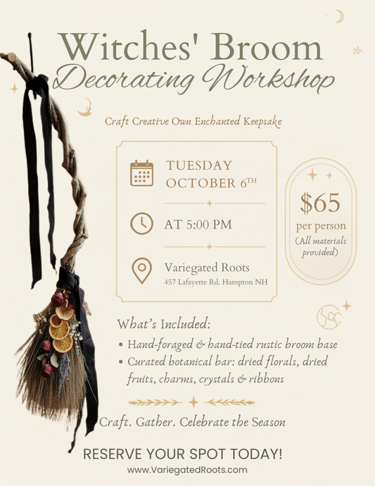 October 6th - Witches' Broom Decorating Workshop - Variegated Roots